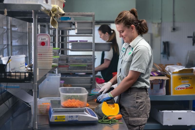 Taronga staff member prepping nutrition for animals