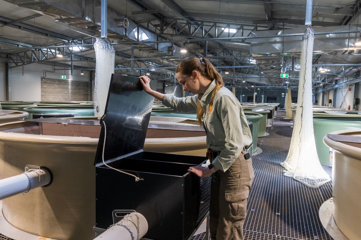 Inside Platypus Rescue HQ