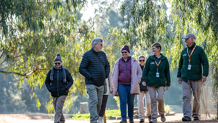 Giants of Africa experience