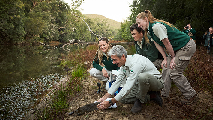 Platypus release
