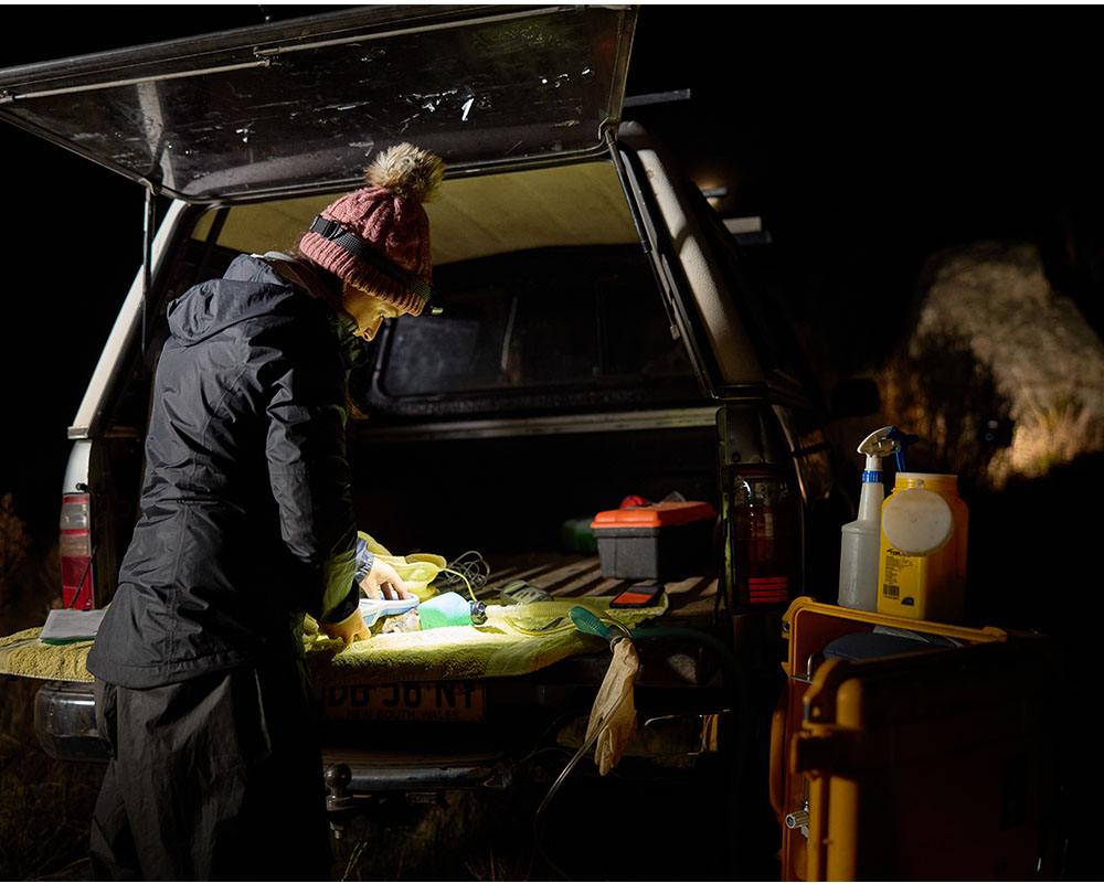 Tahneal Hawke in the field