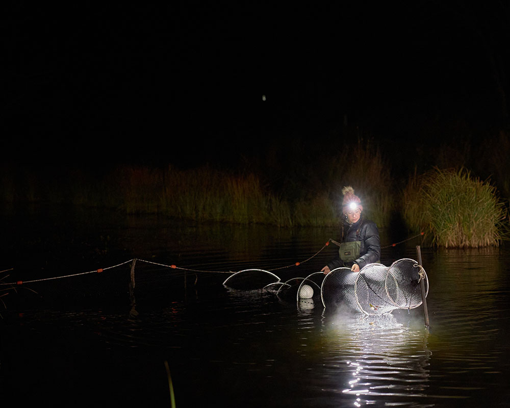 Tahneal Hawke in the field