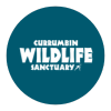 Currumbin wildlife sanctuary