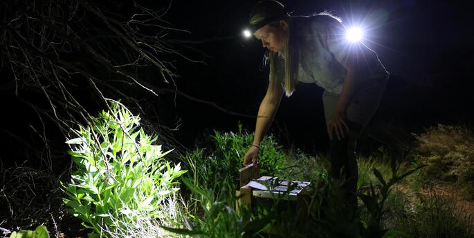 Dubbo Zoo Wins Big in Industry Awards Night